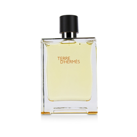 HERMES TERRE D'HERMES 100ML