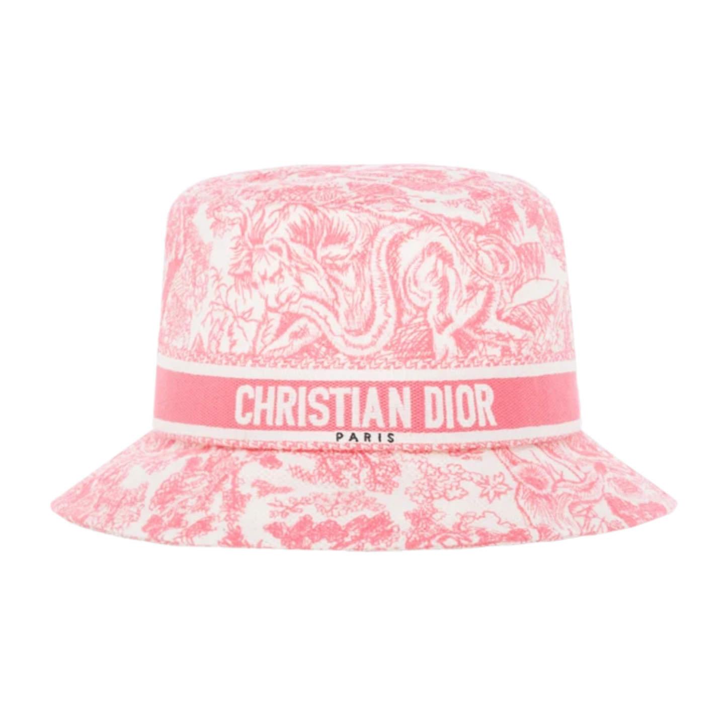 Dior hat